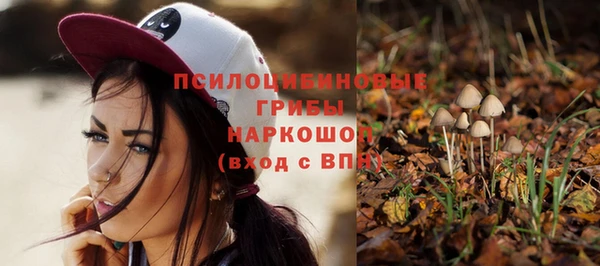 ешки Алексин