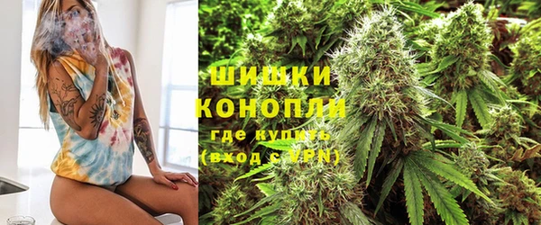 ешки Алексин