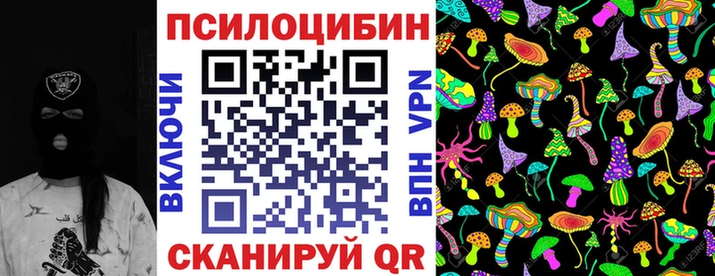 даркнет сайт Грязовец Галлюциногенные грибы Cubensis